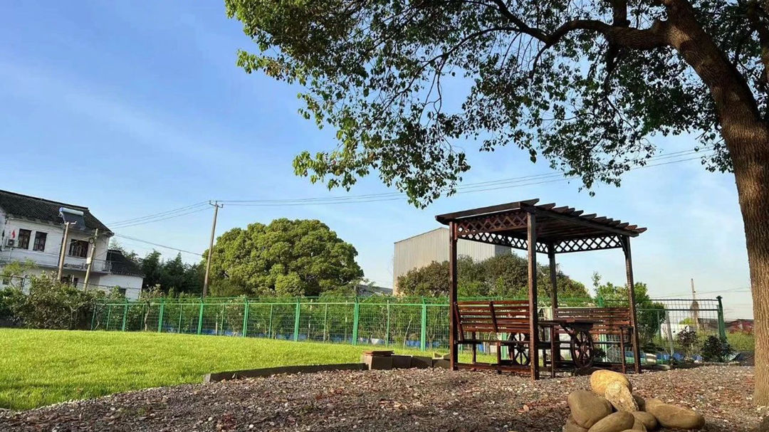 爱来此文化共建太浦仓农场活动基地，创建练塘乡村文旅新IP